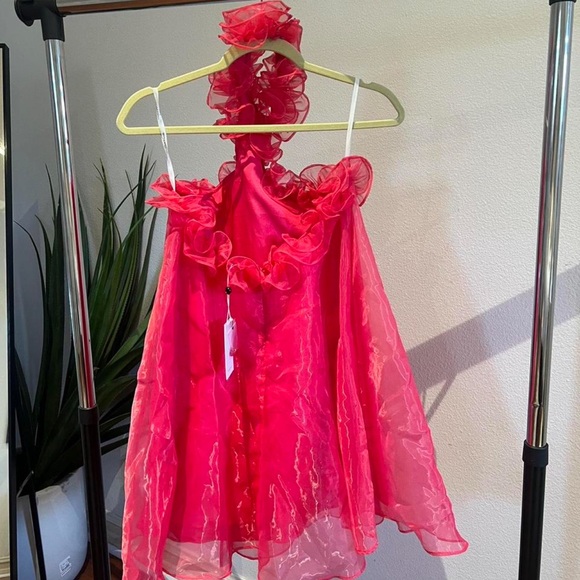 A cute pink Lovers + Friends dress! Perfect for a fun dinner, rush, and more! - Picture 2 of 3